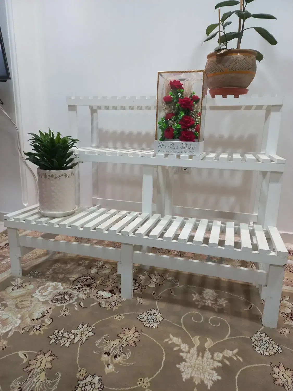 استند گل|گل و گیاه طبیعی|دزفول, |دیوار