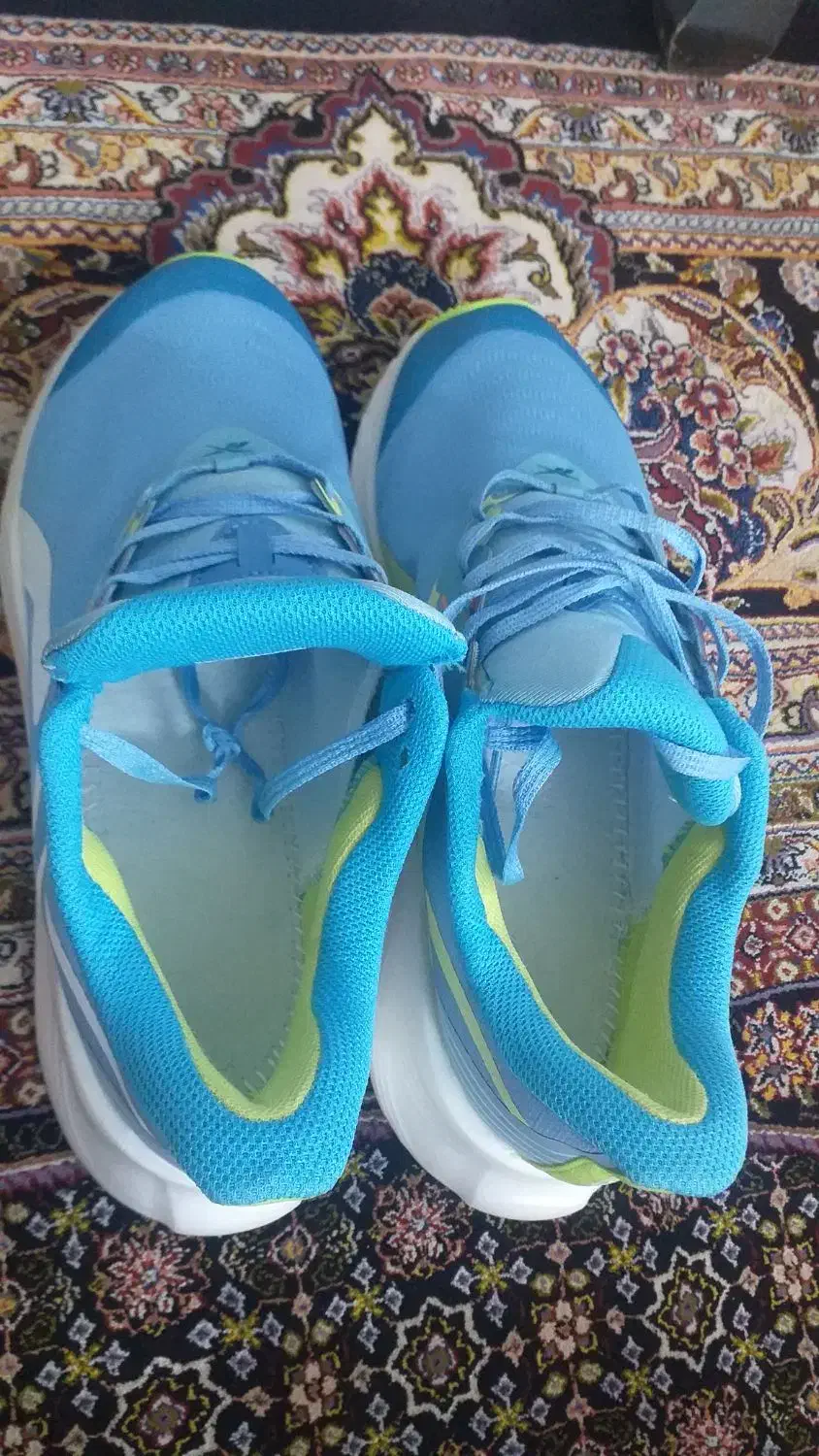 ویتنام اصلی برندریباک|کیف، کفش، کمربند|اصفهان, خرم|دیوار