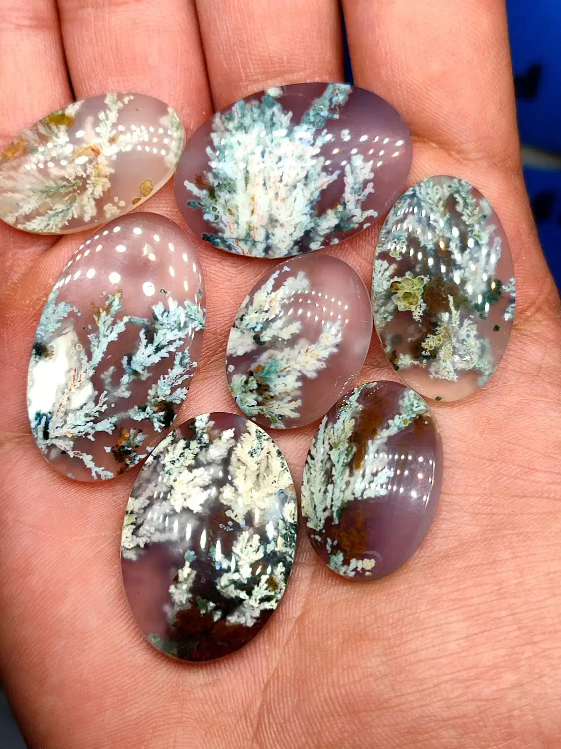 شجر گل هفت رنگ|کلکسیون اشیاء عتیقه|فردوس (خراسان), |دیوار