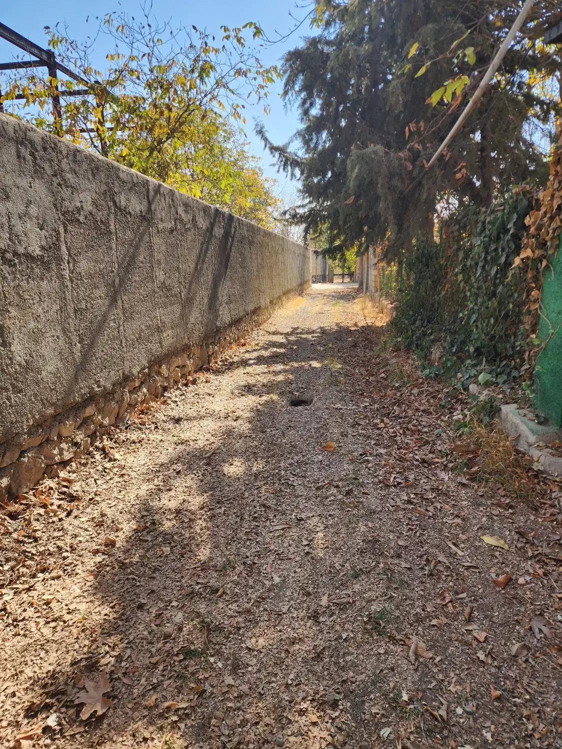 ۳۲۰۰ متر باغ سند دار کردان کوهسار قابل تهاترتجاری|فروش خانه و ویلا|کوهسار (البرز), |دیوار