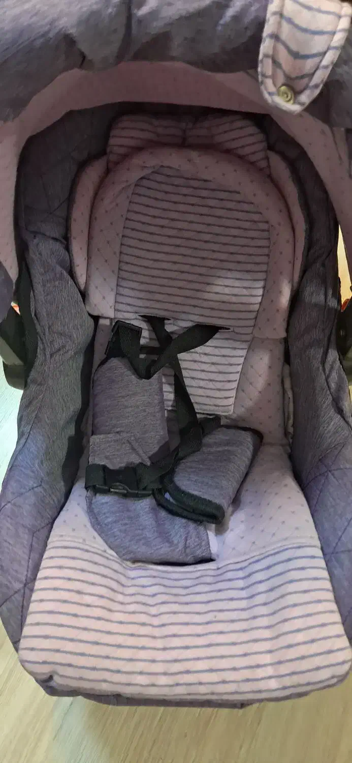 کریر|کالسکه و لوازم جانبی|اردبیل, |دیوار