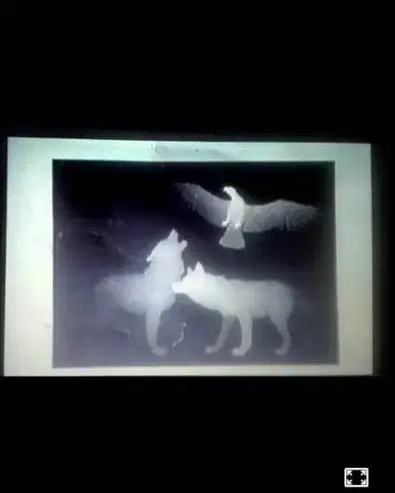 تنها تابلو فرش سه بعدی|تابلو فرش|تهران, پاسداران|دیوار