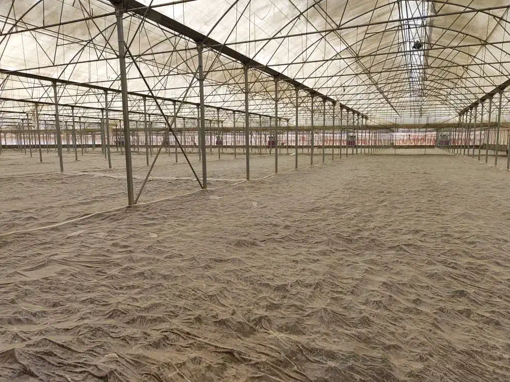 برق گلخانه و مرغداری|خدمات پیشه و مهارت|شیراز, شهرک صنعتی|دیوار