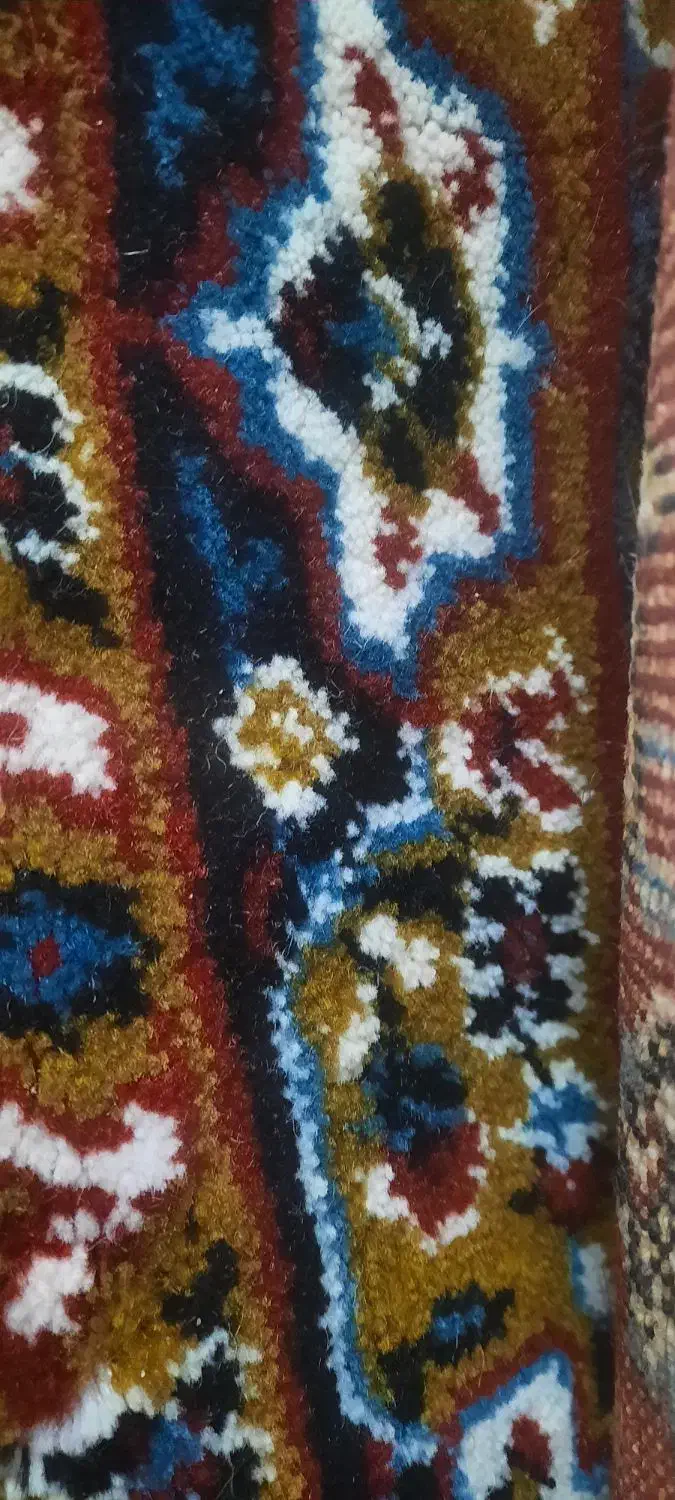 فرش ماشینی ۹ متری در حدنو|فرش|تبریز, |دیوار