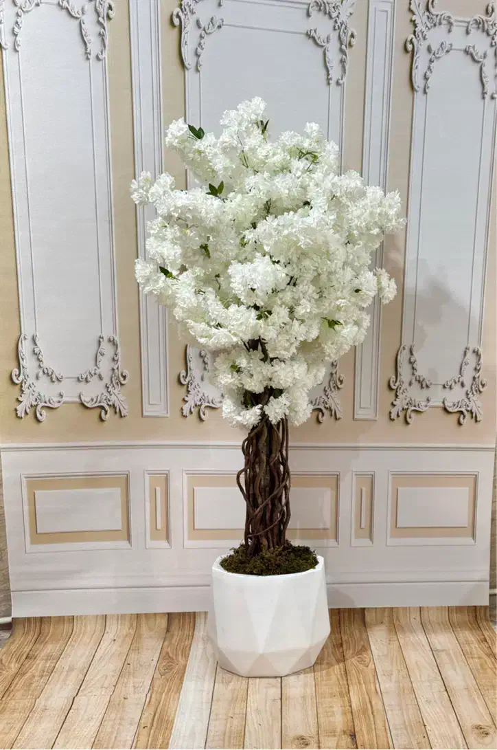 درختچه شکوفه سیب|گل مصنوعی|رشت, لاکانی|دیوار