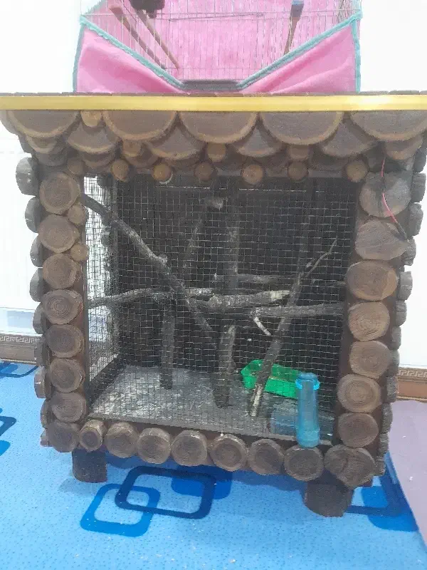 قفس چوبی|لوازم جانبی حیوانات|کرمان, |دیوار