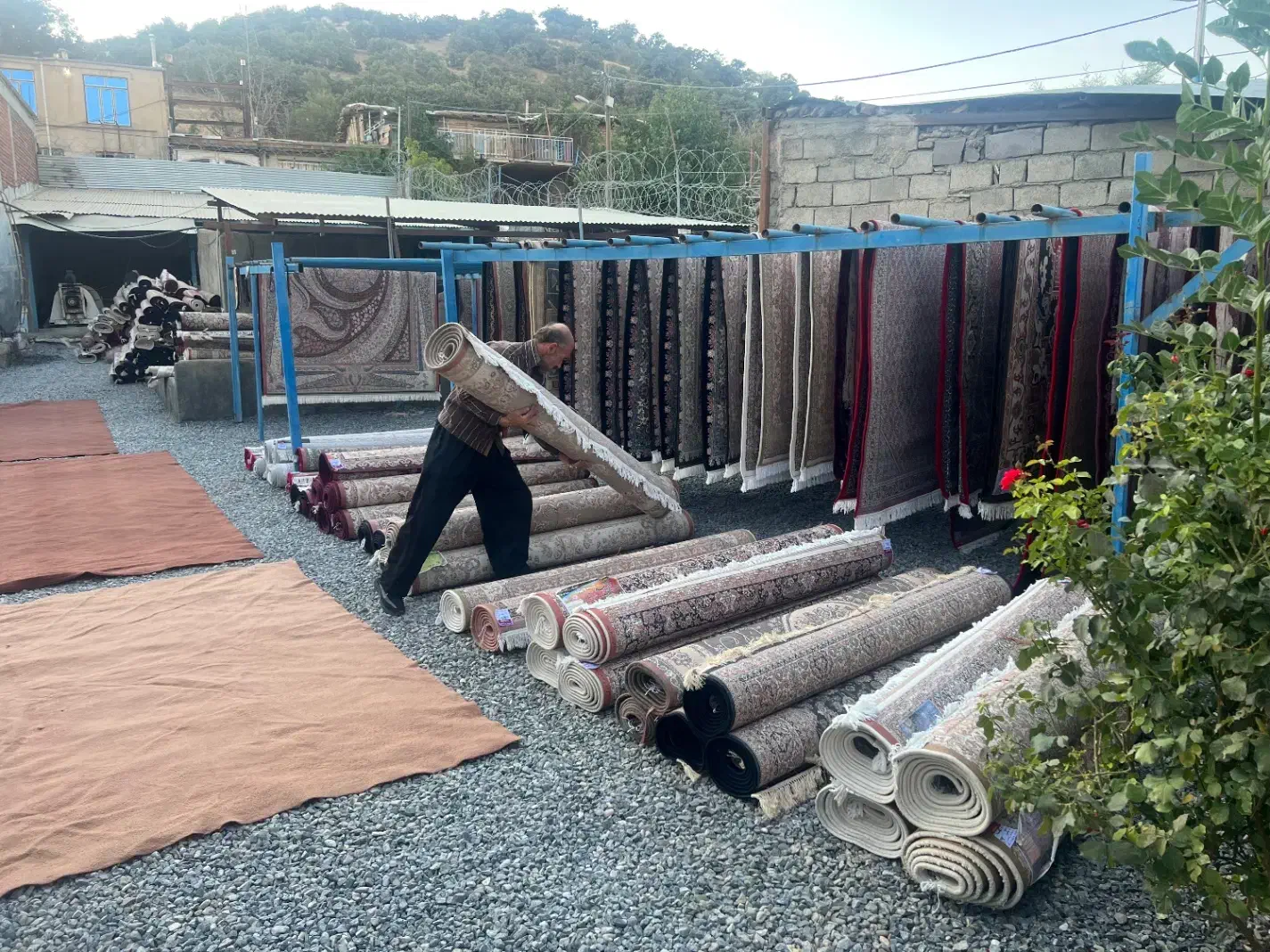 قالی شویی ملت|خدمات نظافت|مریوان, |دیوار