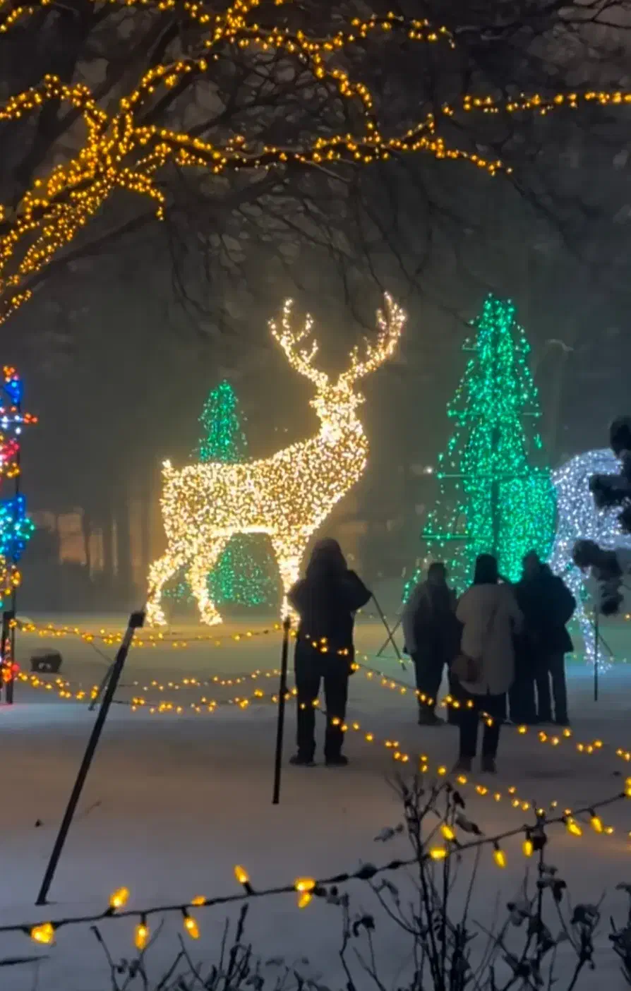 مجسمه 3متری گوزن|مجسمه، تندیس، ماکت|نجف‌آباد, یزدانشهر|دیوار