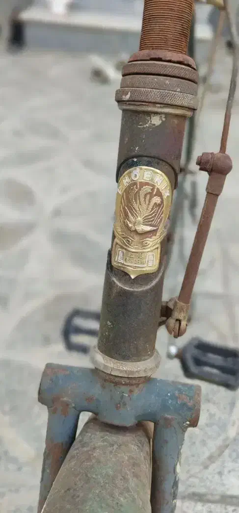 دوچرخه بزرگسال فونیکس|دوچرخه، اسکیت، اسکوتر|بندر ترکمن, |دیوار