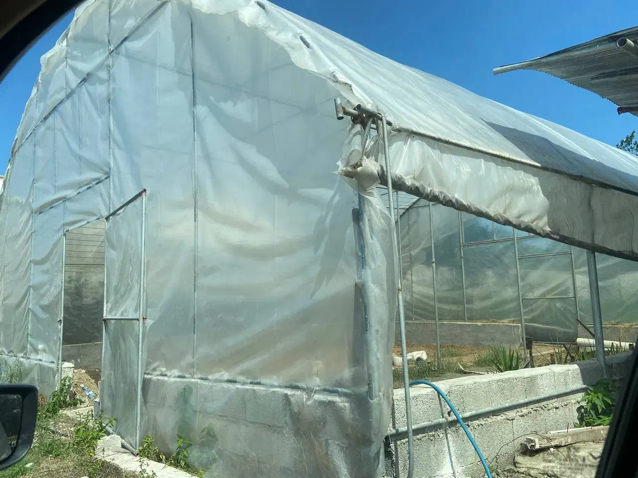 سازه گلخونه ۱۰۰ متری ۱۰×۱۰ لوله گالوانیزه نو|مصالح و تجهیزات ساختمان|تنکابن, |دیوار