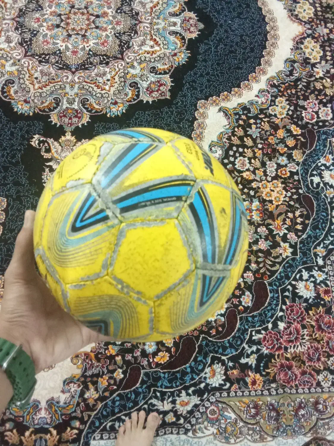 توپ سالن استار|ورزشهای توپی|بیرجند, |دیوار