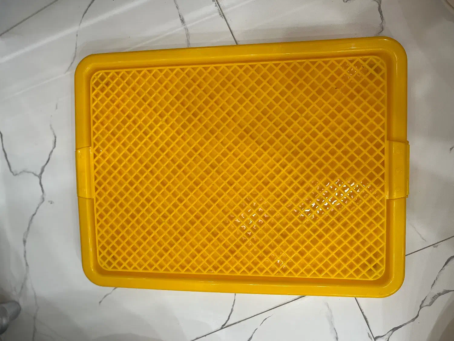 پارک و لوازم حیوانات|لوازم جانبی حیوانات|رشت, لاکان شهر|دیوار