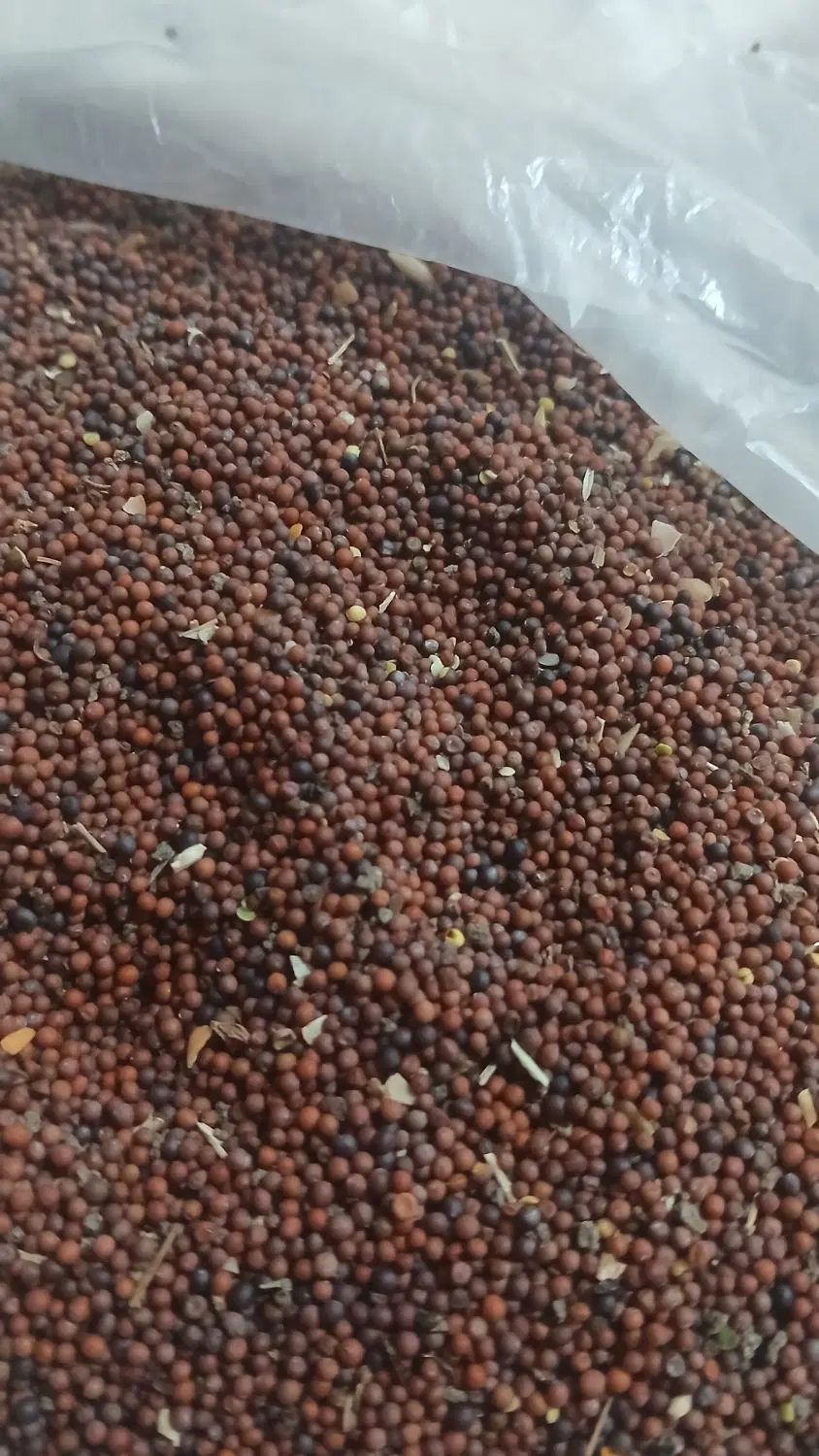 خردل|خوردنی و آشامیدنی|اردبیل, |دیوار