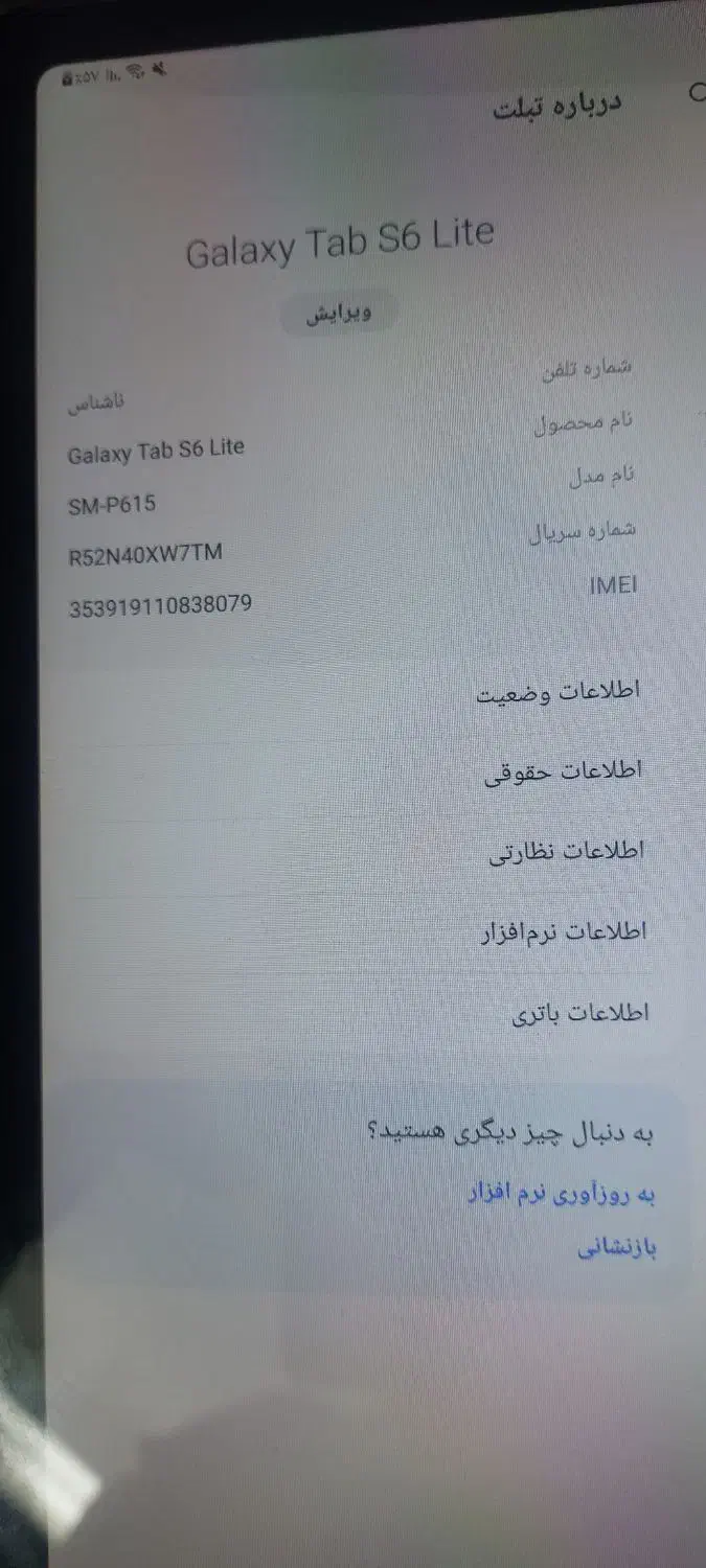 تبلت سامسونگ Tab S6 Lite|تبلت|تهران, مهرآباد|دیوار
