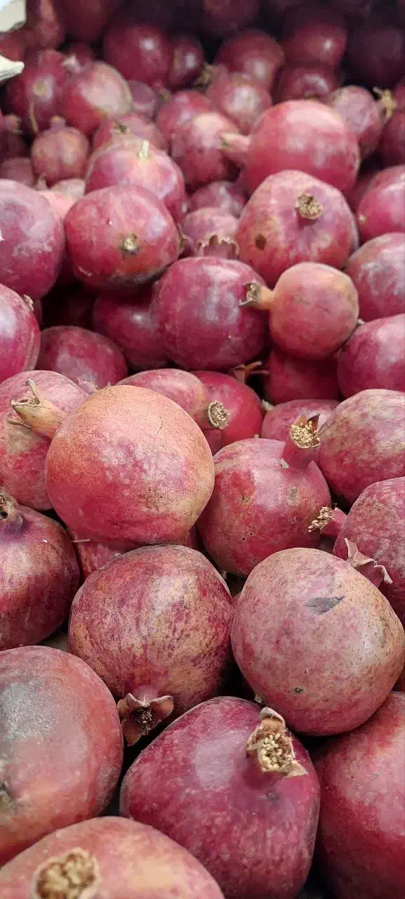 انار ساوه|خوردنی و آشامیدنی|قم, تولید دارو و یخچال|دیوار