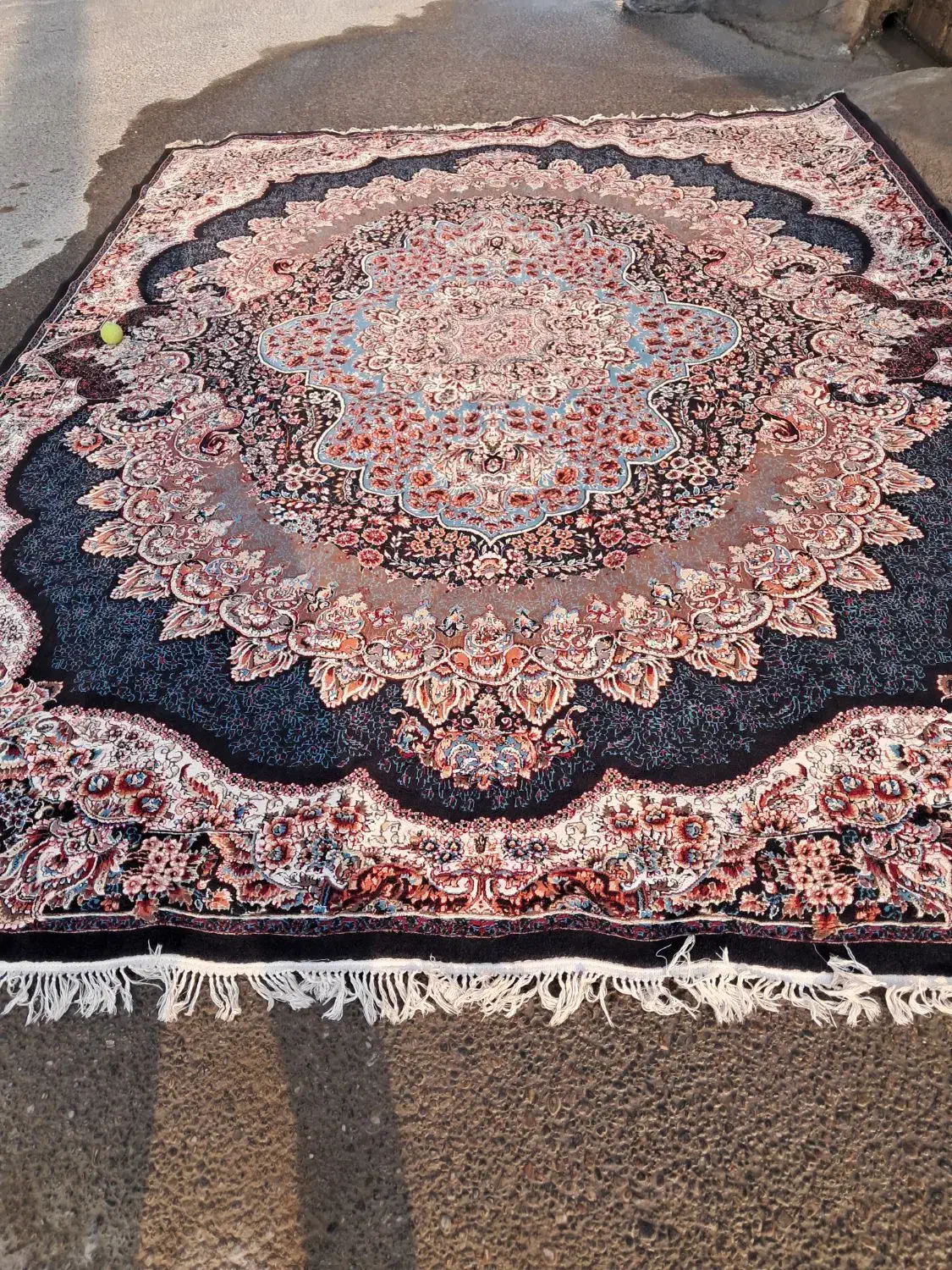 فرش ۱۲ متری ماشینی|فرش|دزفول, |دیوار