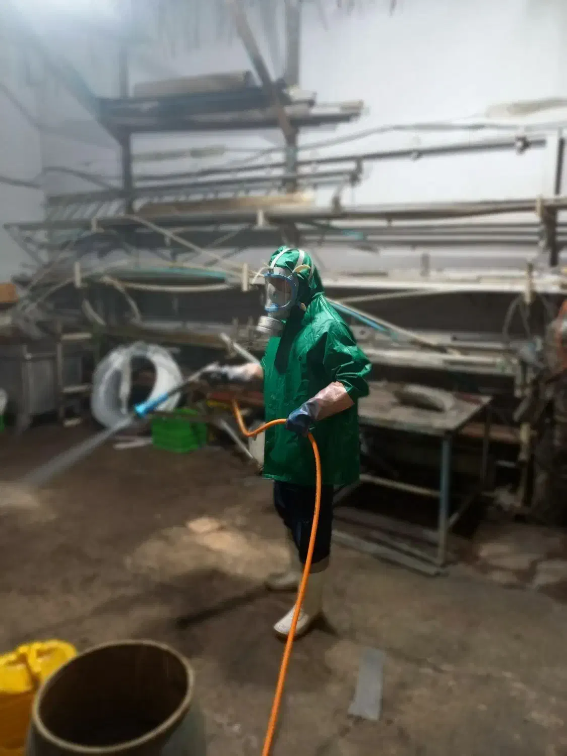 سمپاشی دامیاران مرکز تخصصی سمپاشی و ریشهکنی حشرات|خدمات نظافت|مشهد, شهرک رازی (شهرک غرب)|دیوار