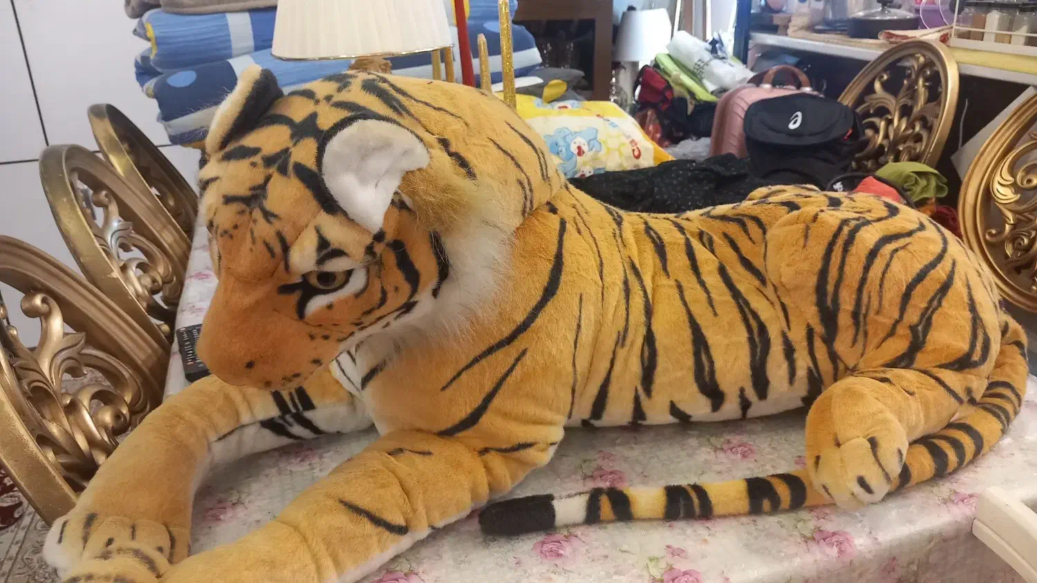 ببر|اسباببازی|پردیس, فاز ۸|دیوار