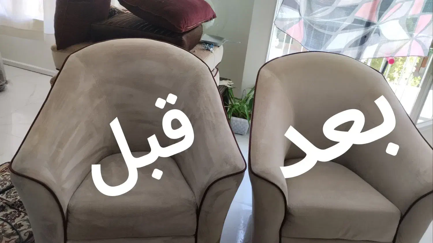 خدمات مبلشویی تخصصی سید|خدمات نظافت|آبیک, |دیوار