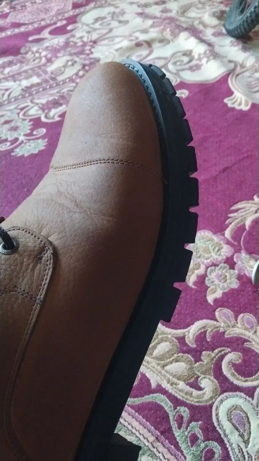 cat|کیف، کفش، کمربند|فورگ, |دیوار