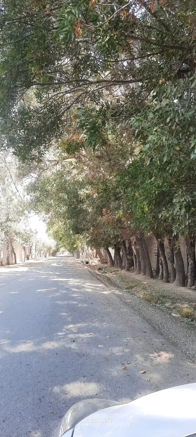 ۵۰۰ متر زمین ،موقعیت استثنایی، سهیلیه|فروش زمین و ملک کلنگی|هشتگرد, کوی یاران|دیوار