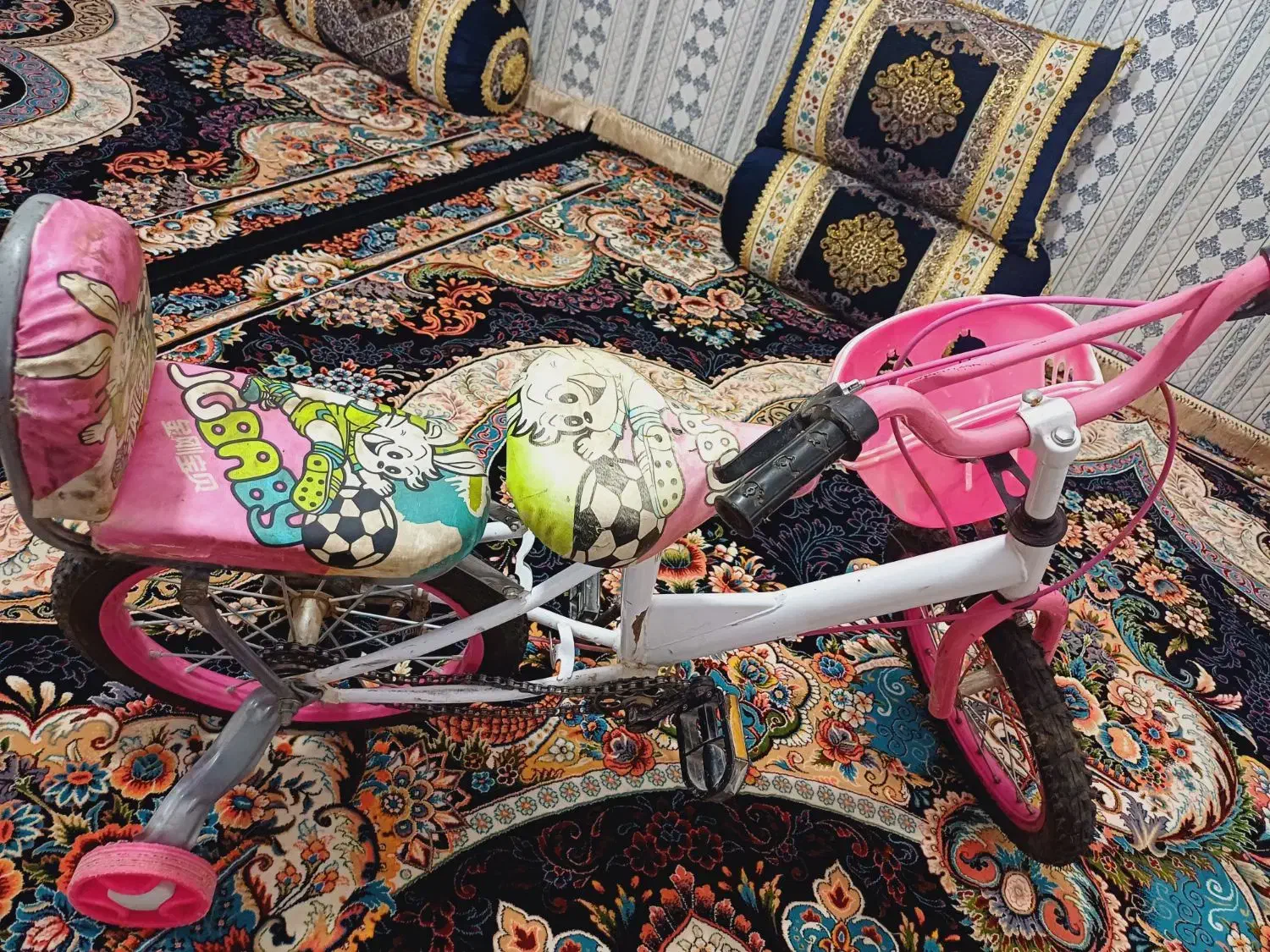 دوچرخه|دوچرخه، اسکیت، اسکوتر|یاسوج, |دیوار