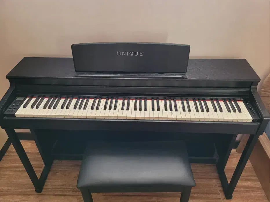 پیانو دیجیتال|پیانو، کیبورد، آکاردئون|اصفهان, فرح آباد|دیوار