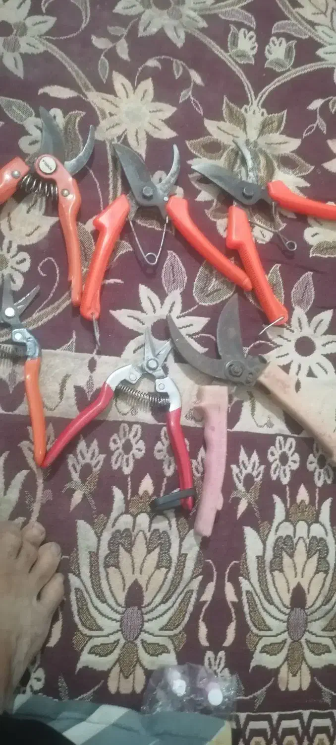 سلام قیچی ارس|ابزارآلات|نگین شهر, |دیوار