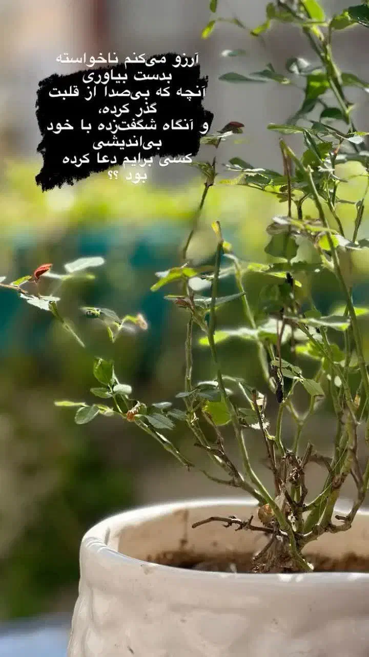 پیدا شدن کارت بانکی|اشیا|دهلران, |دیوار