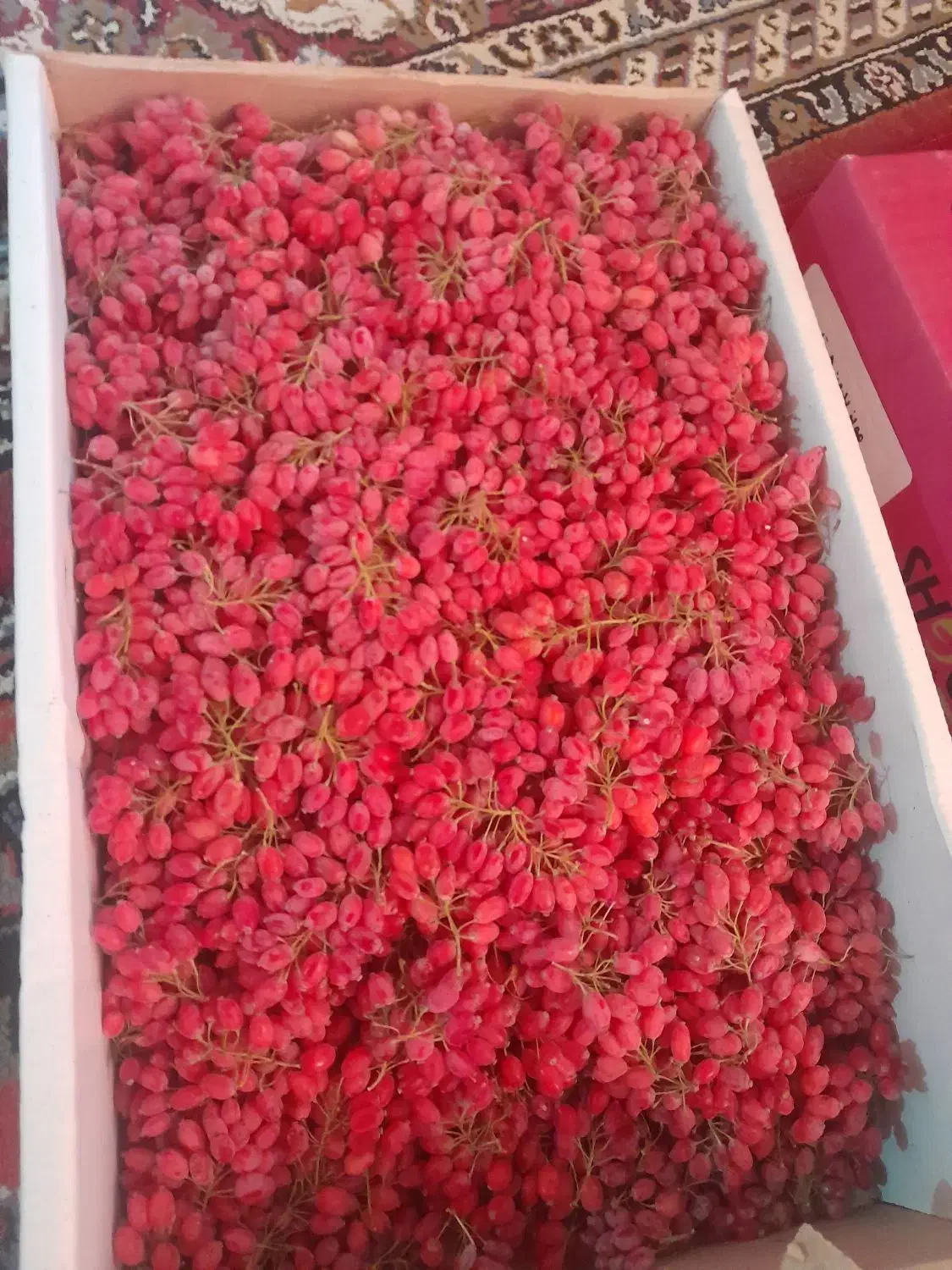 زرشک درجه یک قائنات مشهد وزعفران امروز تازه امده|خوردنی و آشامیدنی|قم, یخچال قاضی|دیوار