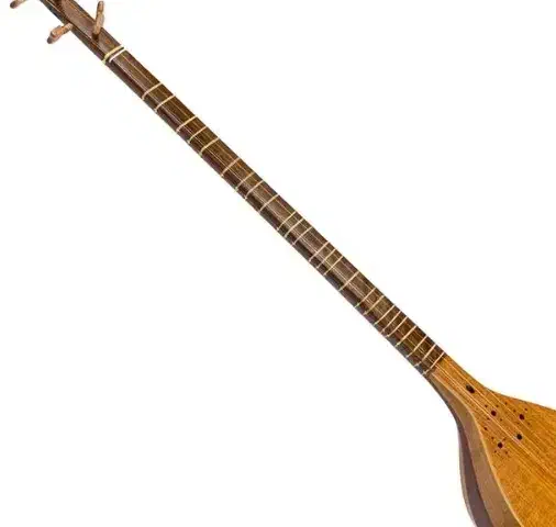 ۳تار|سازهای سنتی|گرگان, |دیوار