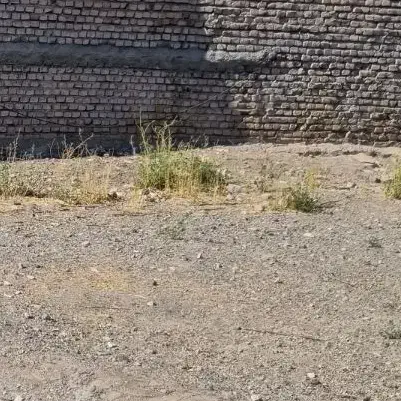 زمین فروشی|فروش زمین و ملک کلنگی|سبزوار, گلشن|دیوار