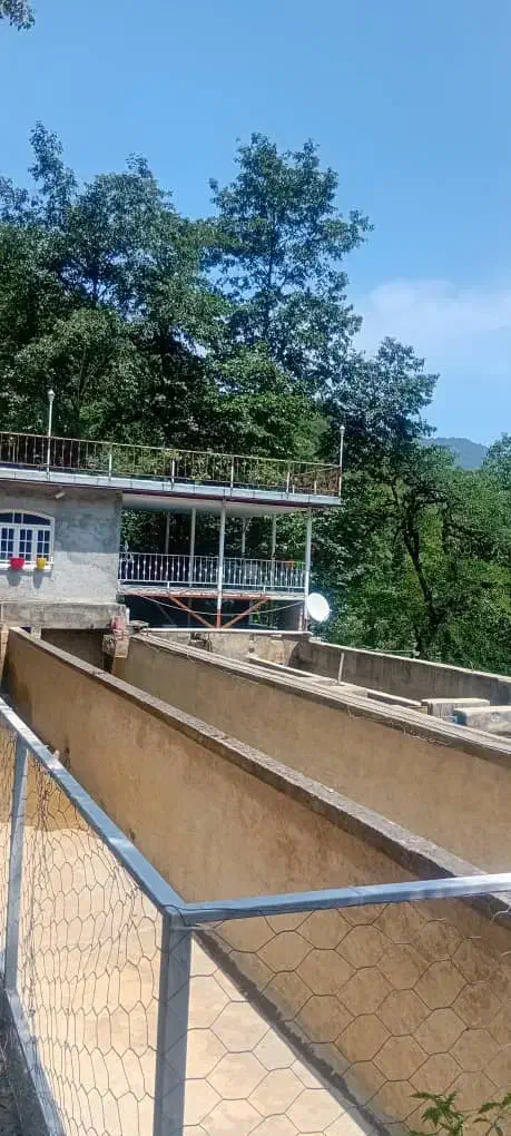 اجاره مزرعه پرورش ماهی قزل آلا با آب چشمه|اجارهٔ دفتر صنعتی، کشاورزی، تجاری|ماسال, |دیوار