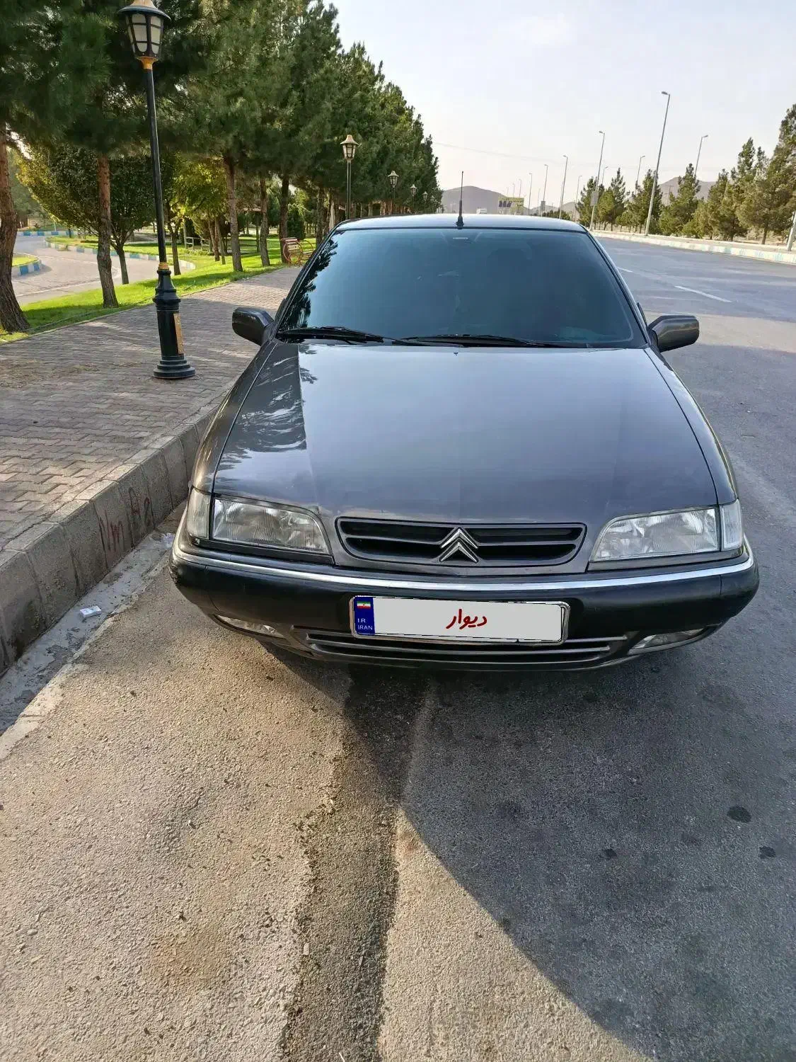 زانتیا2000 مدل 84|خودرو سواری و وانت|عجب شیر, |دیوار