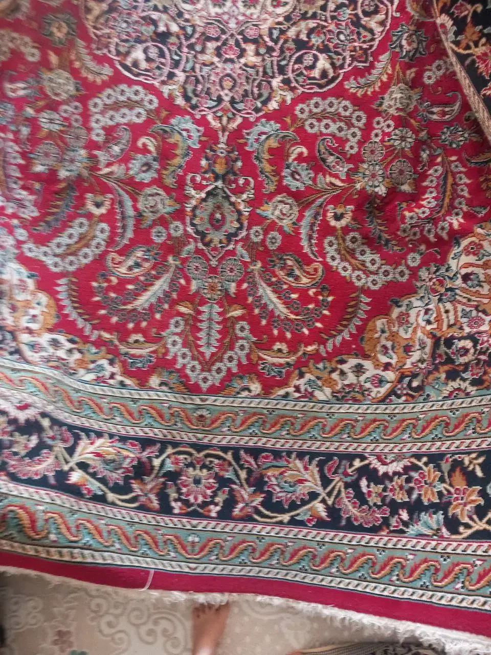 فرش ۱۲ متری پر گوشت|فرش|گلبهار, شهر جدید گلبهار|دیوار