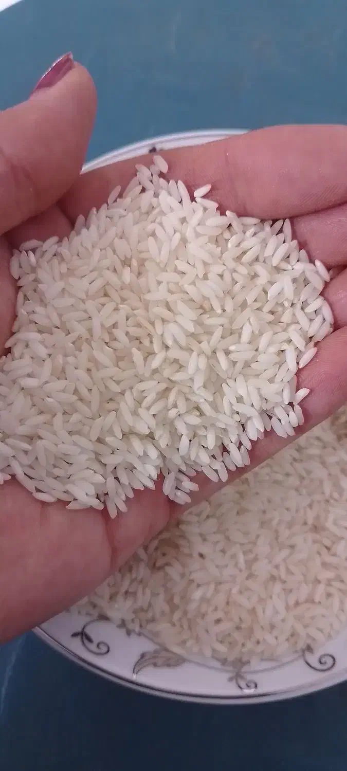 برنج چرداول|خوردنی و آشامیدنی|ایلام, |دیوار