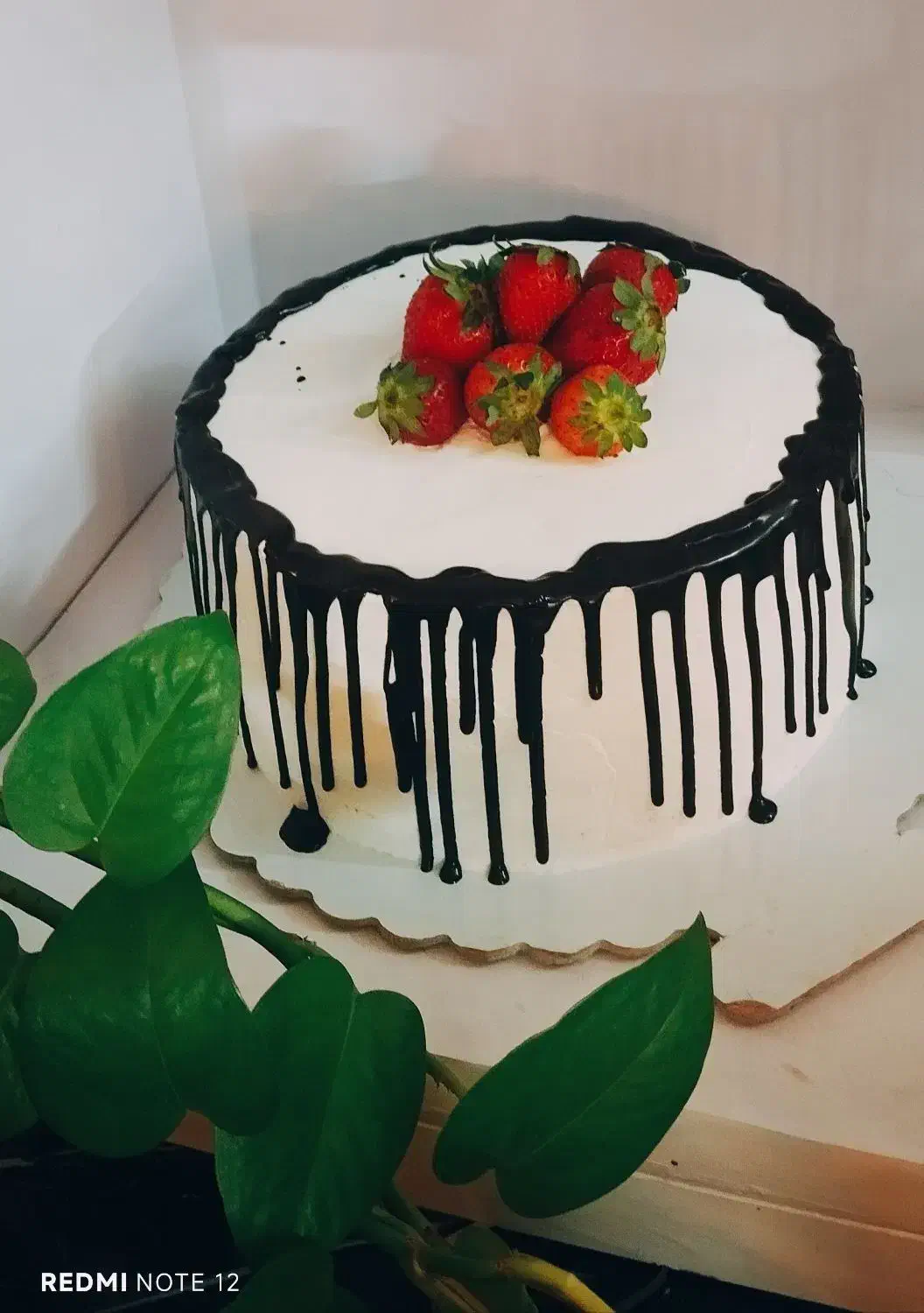 کیک وجار کیک خونگی|خوردنی و آشامیدنی|مشهد, هنرور|دیوار