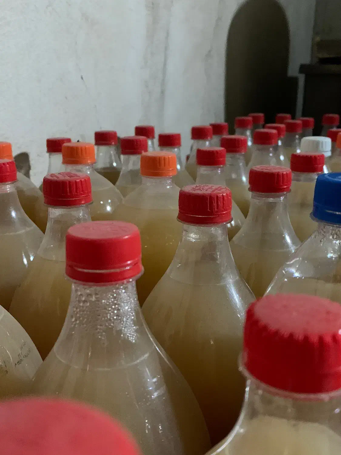 سرکه سیب ارگانیک|خوردنی و آشامیدنی|مشهد, شهرآرا|دیوار