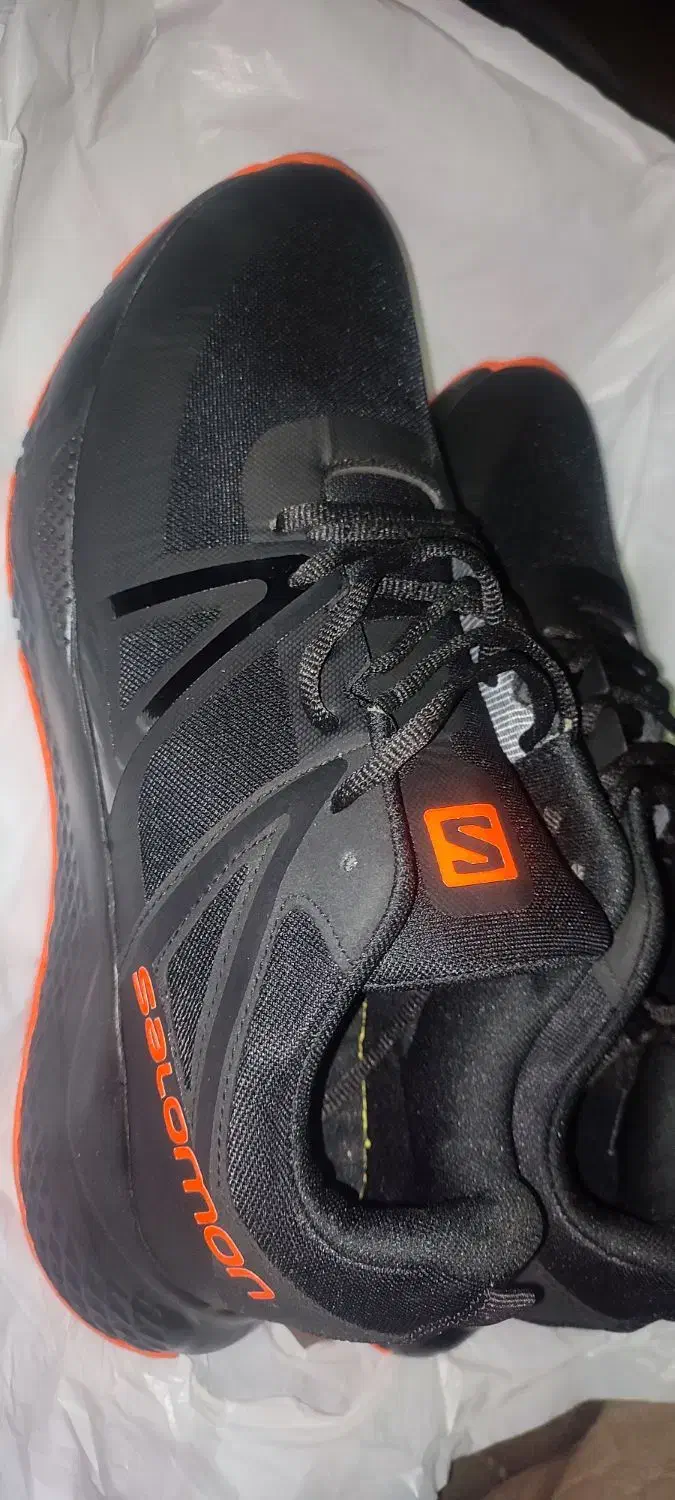 کتونی سالامون|کیف، کفش، کمربند|رشت, فلسطین|دیوار