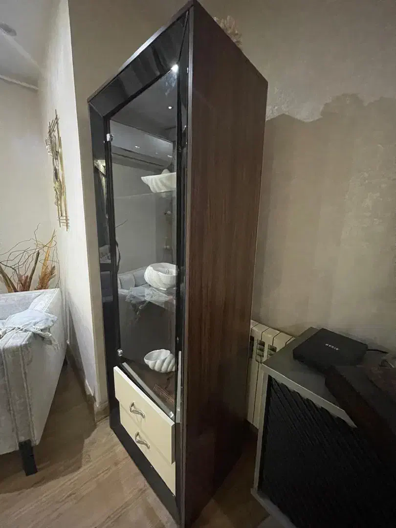 ویترین|بوفه، ویترین، کنسول|رشت, کاکتوس|دیوار