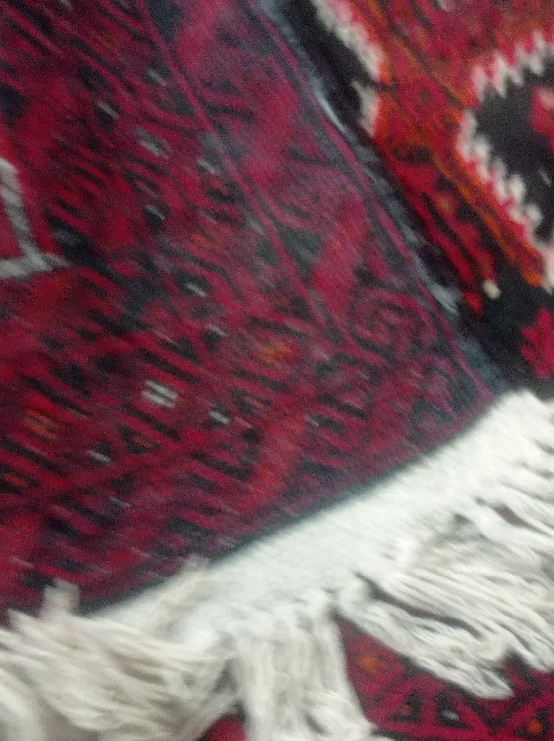 قالیچه دستباف|فرش|تایباد, |دیوار