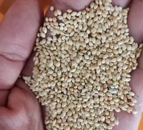 فروشی|عمده‌فروشی|فیروزآباد (لرستان), |دیوار