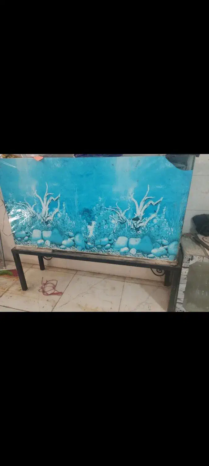 آکواریم شیشه ایی بزرگ و کوچک|ماهی|خرمآباد, |دیوار