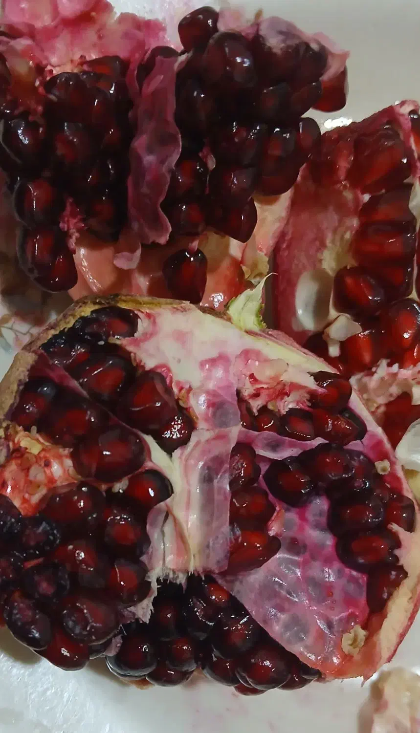 رب انار درجه یک از انار درجه یک|خوردنی و آشامیدنی|شیراز, معالیآباد|دیوار