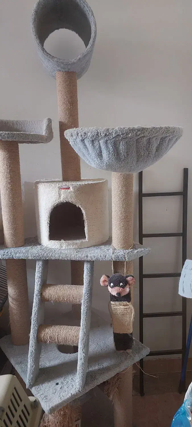 اسکرچر باکس جای خواب لوازم سگ و گربه|لوازم جانبی حیوانات|تهران, چوب تراش|دیوار