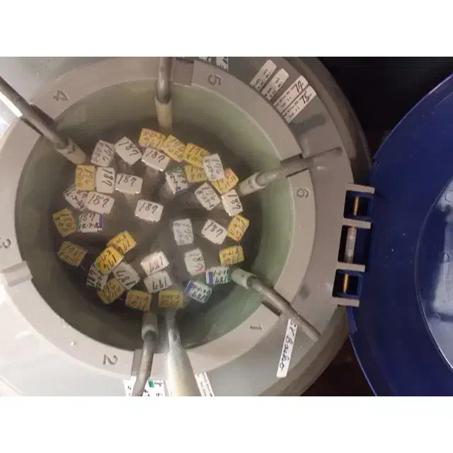 اسپرم گاو و تلیسه|حیوانات مزرعه|مرودشت, فاز اول شهرک فرهنگیان|دیوار