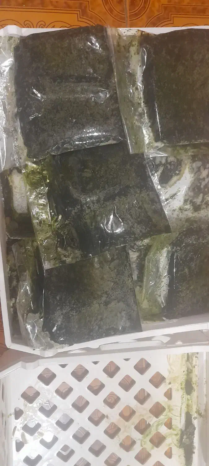 سبزی خورشت اماده وخیارشور|خوردنی و آشامیدنی|دهدشت, |دیوار