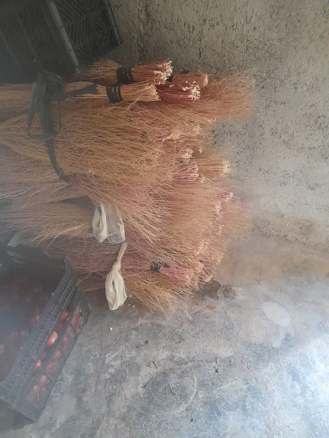 ۵۰ دست جارو برای تمیز کردن حیاط وغیره|لوازم نظافت|موچش, |دیوار