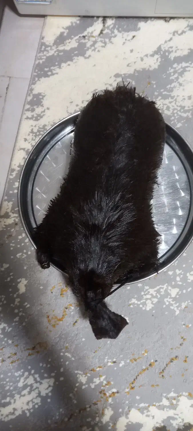 خیگ نگهدارنده روغن|ظروف سرو و پذیرایی|فولادشهر, C3|دیوار