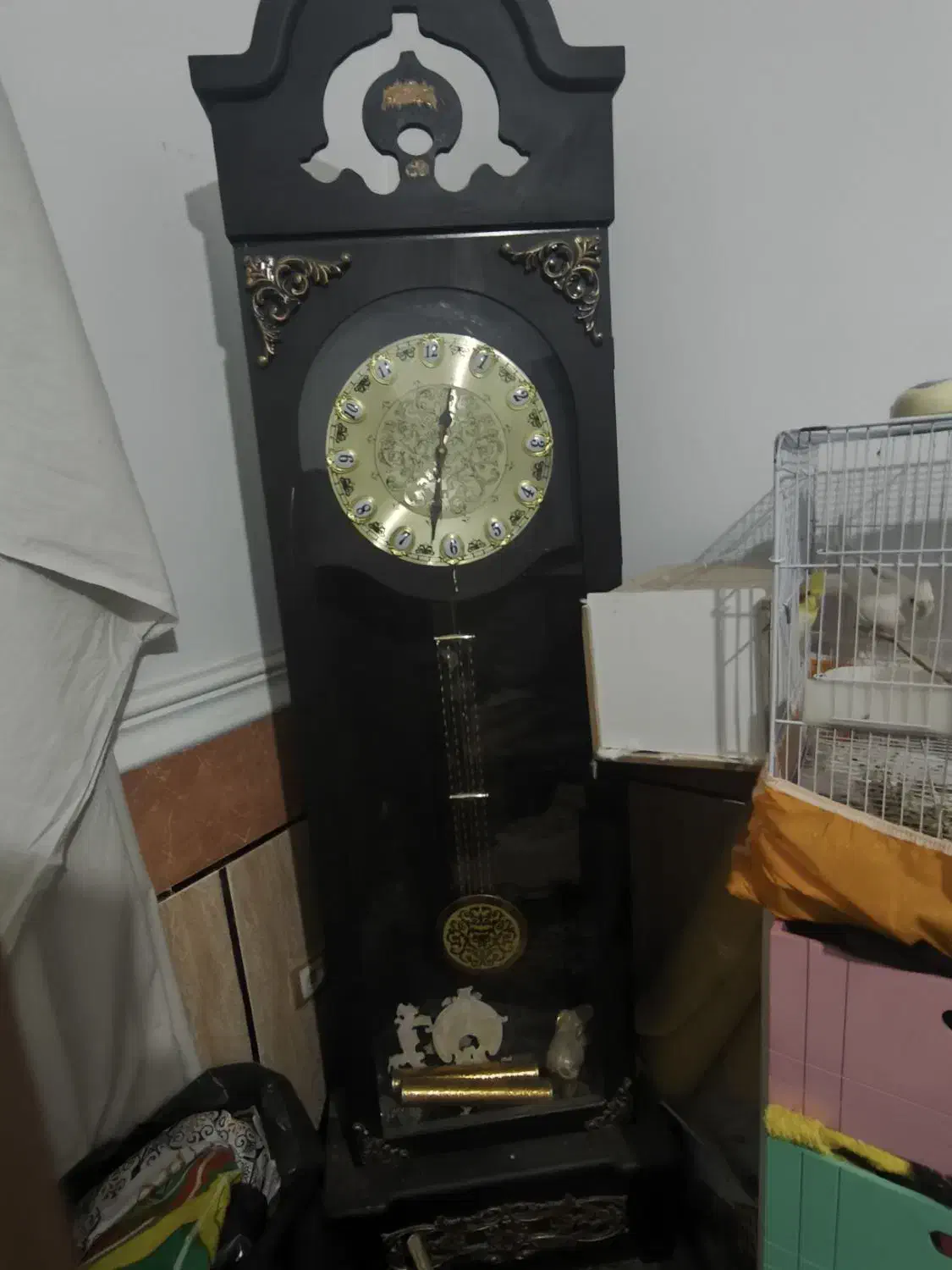 ساعت|ساعت دیواری و تزئینی|زاهدان, |دیوار